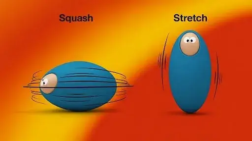 Let’s Unwind the Magic of Squash and Stretch